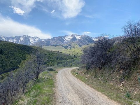 Tiny photo for 5 E HAPPY HOLLOW DR N #5, Springville, UT 84663 (MLS # 2097080)