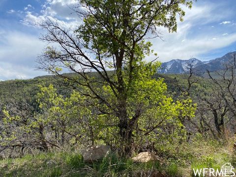 Tiny photo for 5 E HAPPY HOLLOW DR N #5, Springville, UT 84663 (MLS # 2097080)