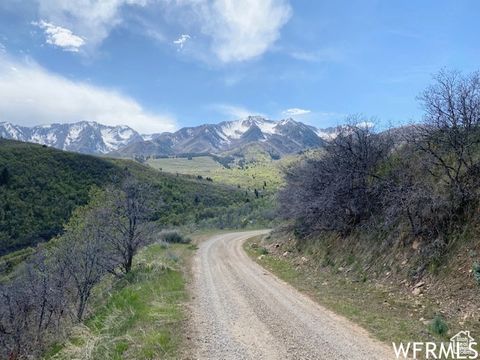 Tiny photo for 5 E HAPPY HOLLOW DR N #5, Springville, UT 84663 (MLS # 2097080)