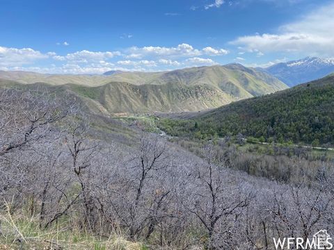Tiny photo for 5 E HAPPY HOLLOW DR N #5, Springville, UT 84663 (MLS # 2097080)