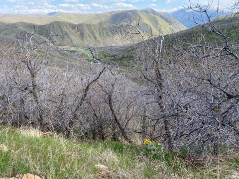 Tiny photo for 5 E HAPPY HOLLOW DR N #5, Springville, UT 84663 (MLS # 2097080)