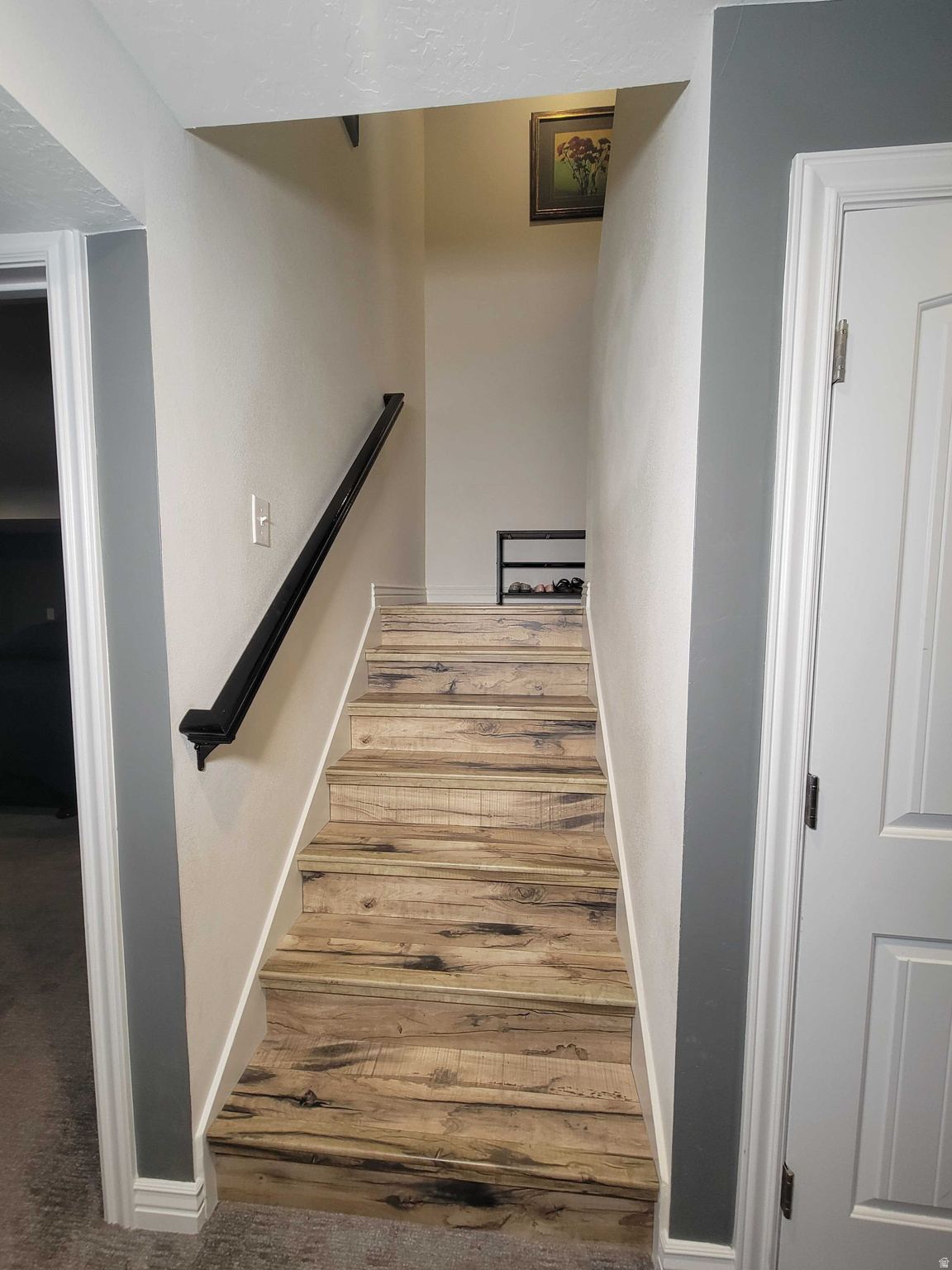 THE VILLAGE OF HAWKS LANDING - Residential