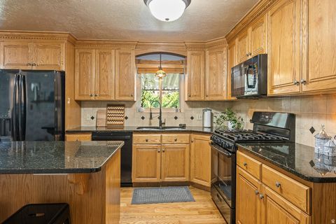 Tiny photo for 1541 E BLACKHAWK DR S, Pleasant Grove, UT 84062 (MLS # 2142277)