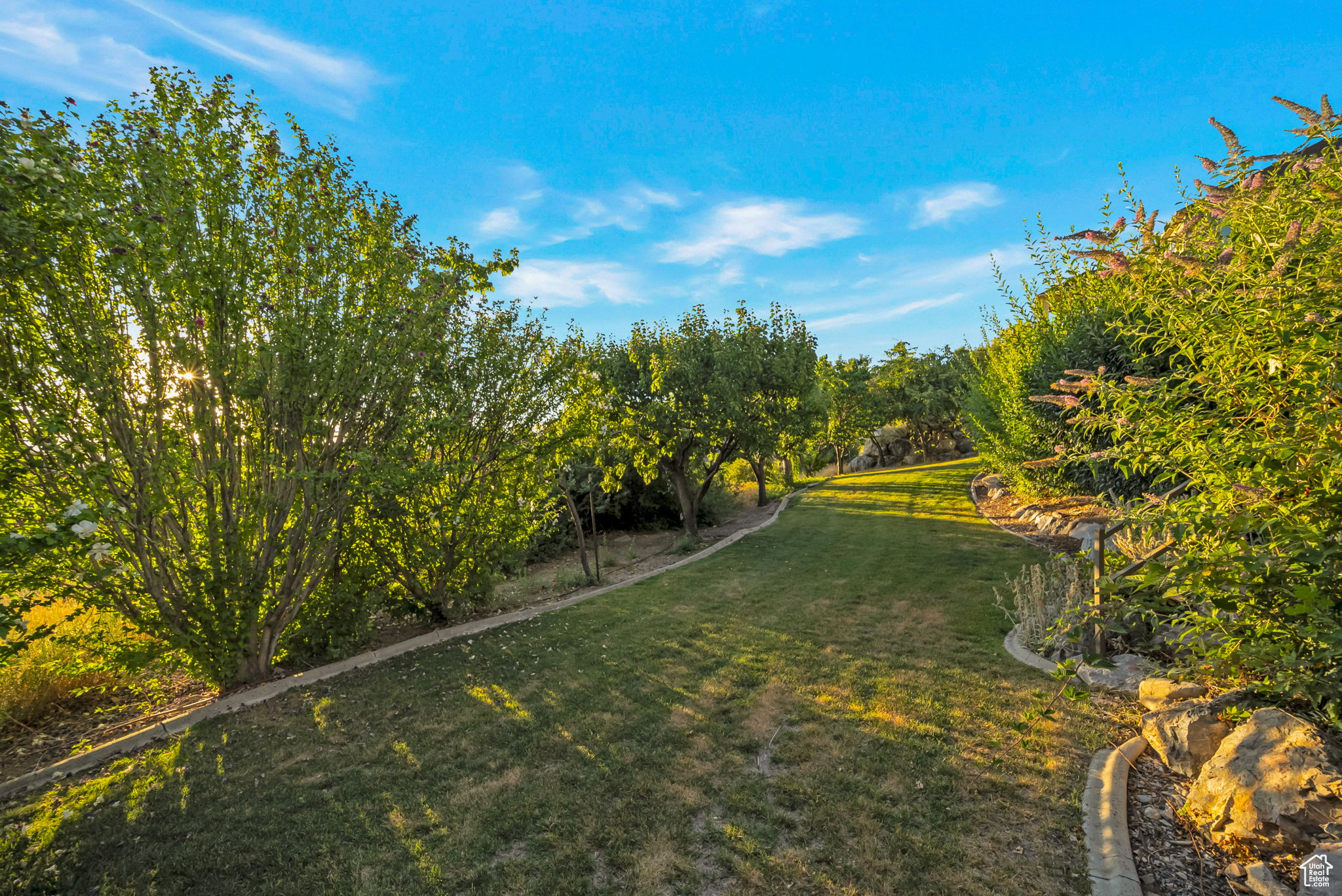 CANYON HEIGHTS AT CEDAR HILLS - Residential