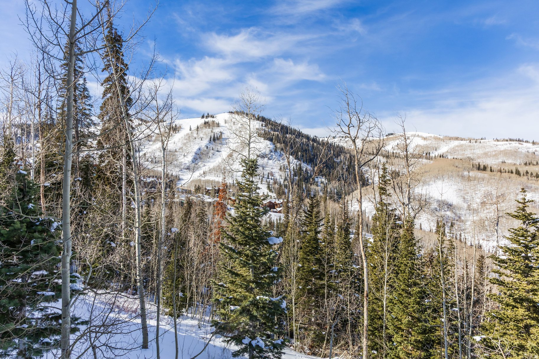 EMPIRE PASS - Residential