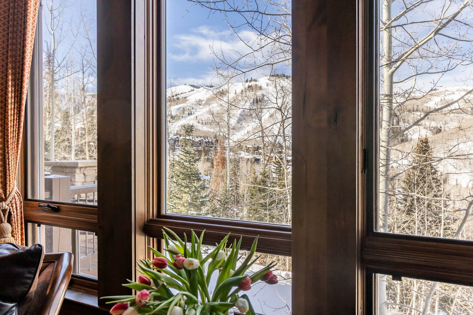 EMPIRE PASS - Residential