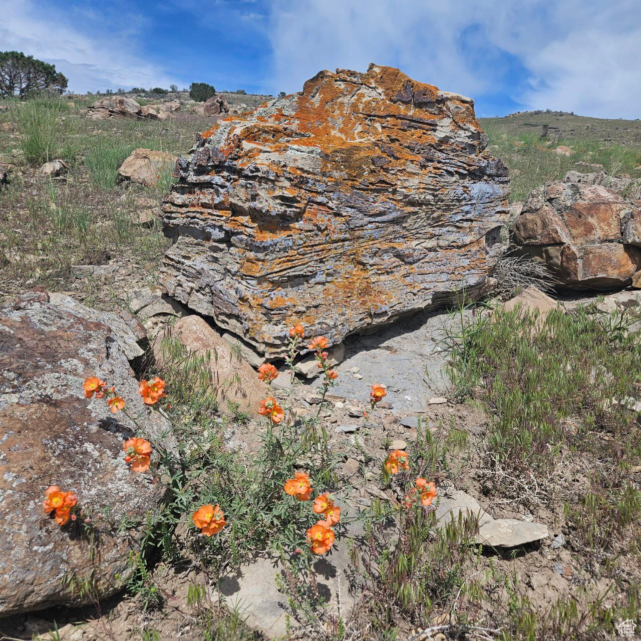 GLENMAR RANCHES PHAS - Land