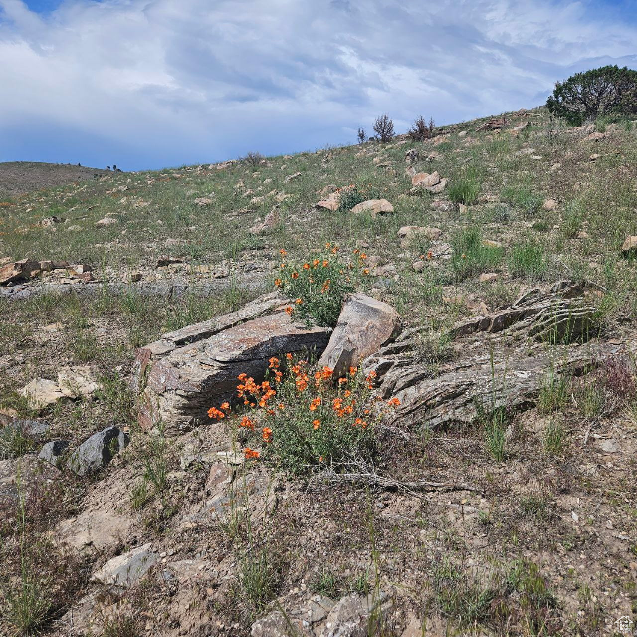 GLENMAR RANCHES PHAS - Land