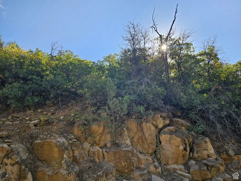 Tiny photo for 337 NORTH FORK RD RD #337, Mt Pleasant, UT 84647 (MLS # 2118327)