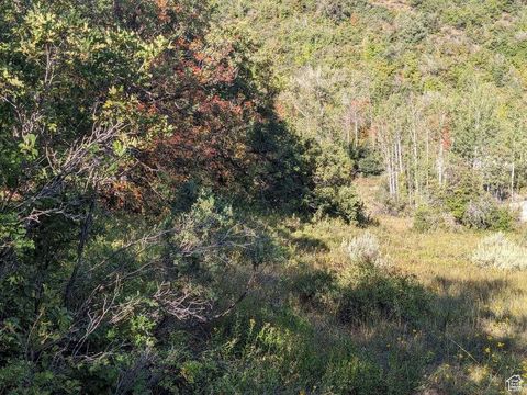 Tiny photo for 337 NORTH FORK RD RD #337, Mt Pleasant, UT 84647 (MLS # 2118327)