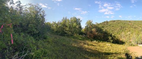 Tiny photo for 337 NORTH FORK RD RD #337, Mt Pleasant, UT 84647 (MLS # 2118327)