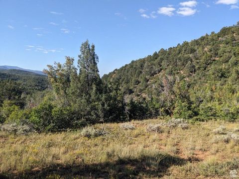 Tiny photo for 337 NORTH FORK RD RD #337, Mt Pleasant, UT 84647 (MLS # 2118327)