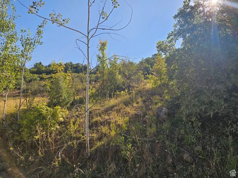 Tiny photo for 337 NORTH FORK RD RD #337, Mt Pleasant, UT 84647 (MLS # 2118327)