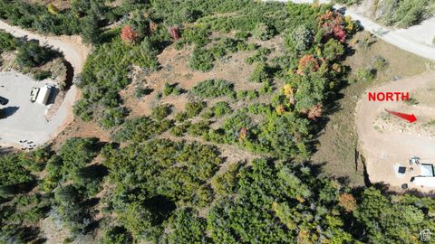 Tiny photo for 337 NORTH FORK RD RD #337, Mt Pleasant, UT 84647 (MLS # 2118327)