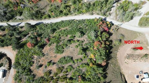 Tiny photo for 337 NORTH FORK RD RD #337, Mt Pleasant, UT 84647 (MLS # 2118327)