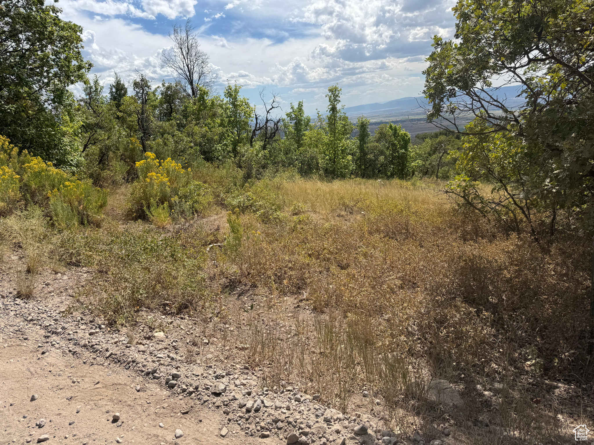 SKYLINE MOUNTAIN RES - Land