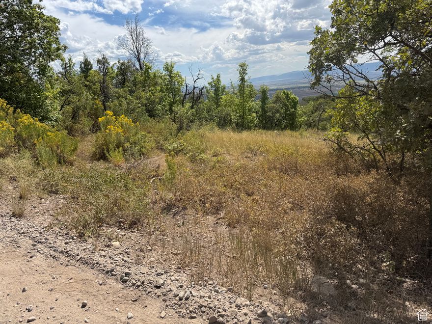 Large, 2.142 Acre View Lot M-33 which is about half way to the top so is more accessible for winter access than the higher lots. The lot is on the West side of Juniper Dr with a natural entrance and slopes down to the West with an awesome view of the Sanpete Valley. It's never been used so it is a blank canvas for your dreams. Bring your trailer or build a cabin and take advantage of all that mountain life has to offer. Amenities include a pool, playground, pickle ball, tennis courts, and a golf course. In the Summer there are BBQ's and musical groups, along with endless recreational activities including hiking, mountain biking, four wheeling, dirt biking, and more plus nearby lakes, fishing, hunting, rock climbing and the Drive-inn theater in MP. Access in the winter is by tracked vehicles approximately Dec-April. The mountain air is cool, clear, and crisp, and the night sky is bright and vivid. Close to grocery stores, pharmacy, restaurants and other amenities. Culinary water is available to haul from Skyline Mountain Resort wells. Power is available with a connection fee. Buyer to verify all information.