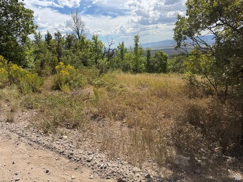 Vacant Land For Sale - 33 M Juniper Dr #M-33<br/> Fairview, UT 84629