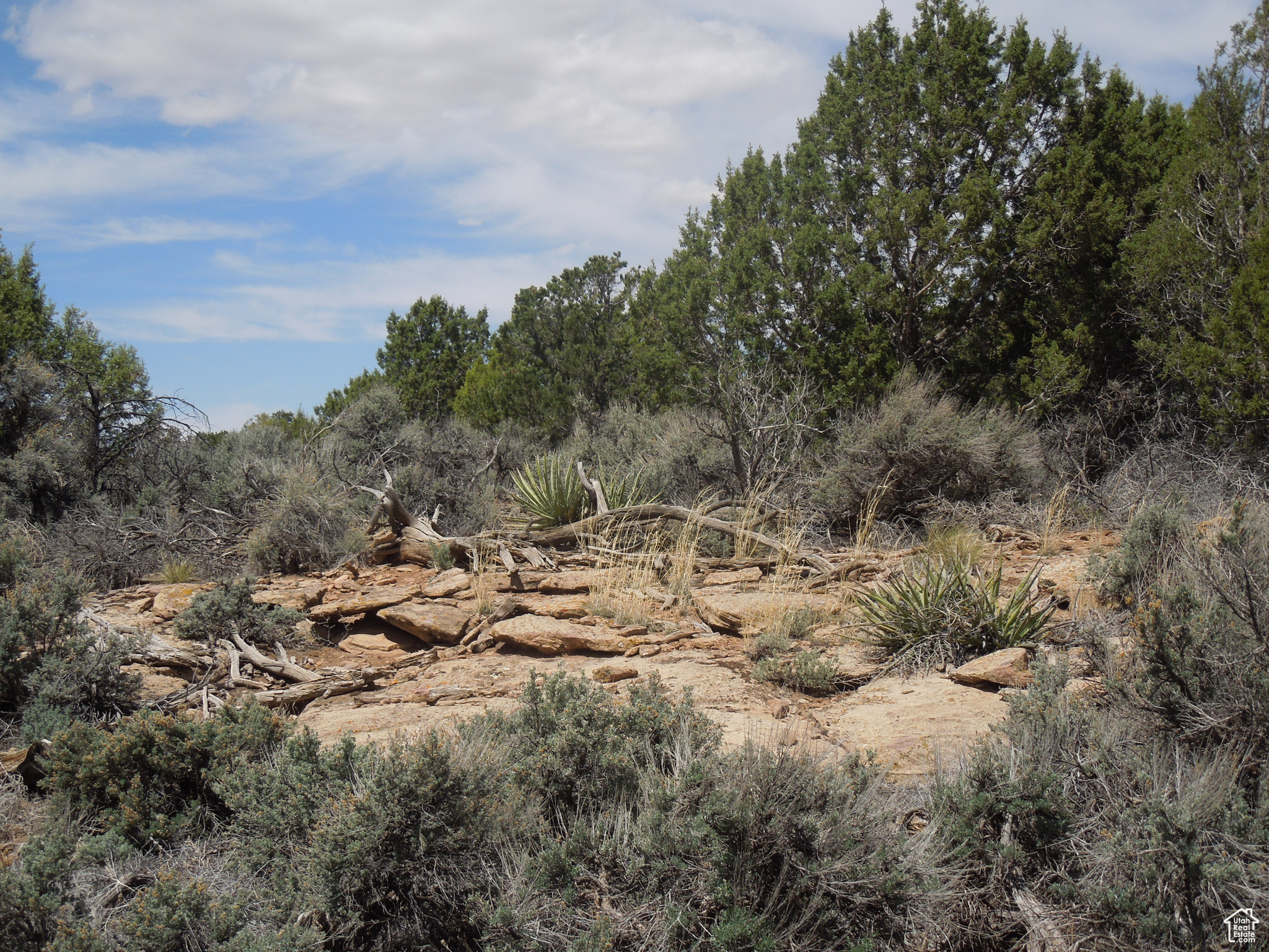 SUNRISE COUNTRY - Land