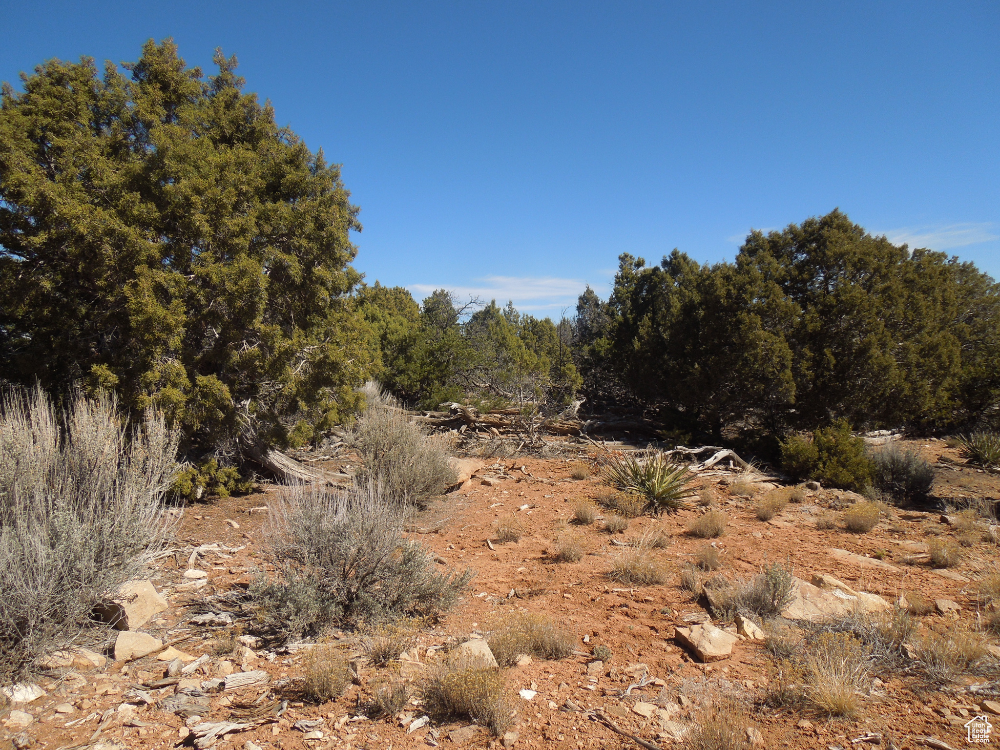 SUNRISE COUNTRY - Land