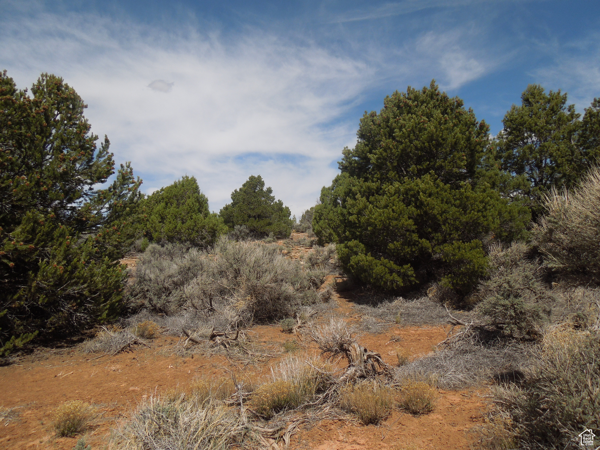 SUNRISE COUNTRY - Land