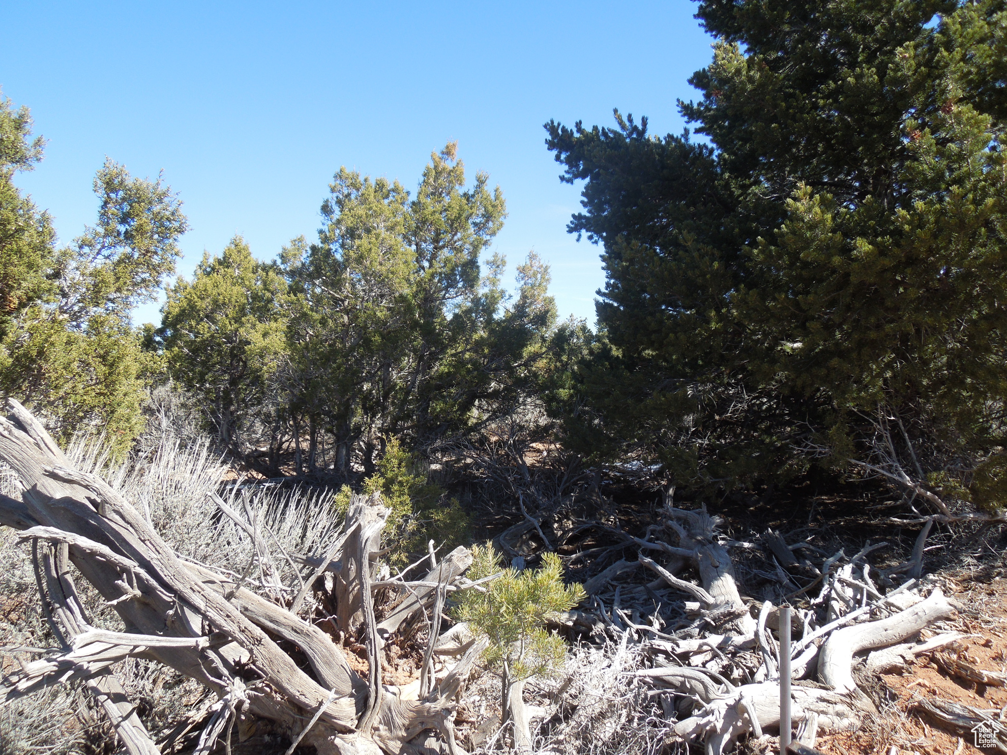 SUNRISE COUNTRY - Land