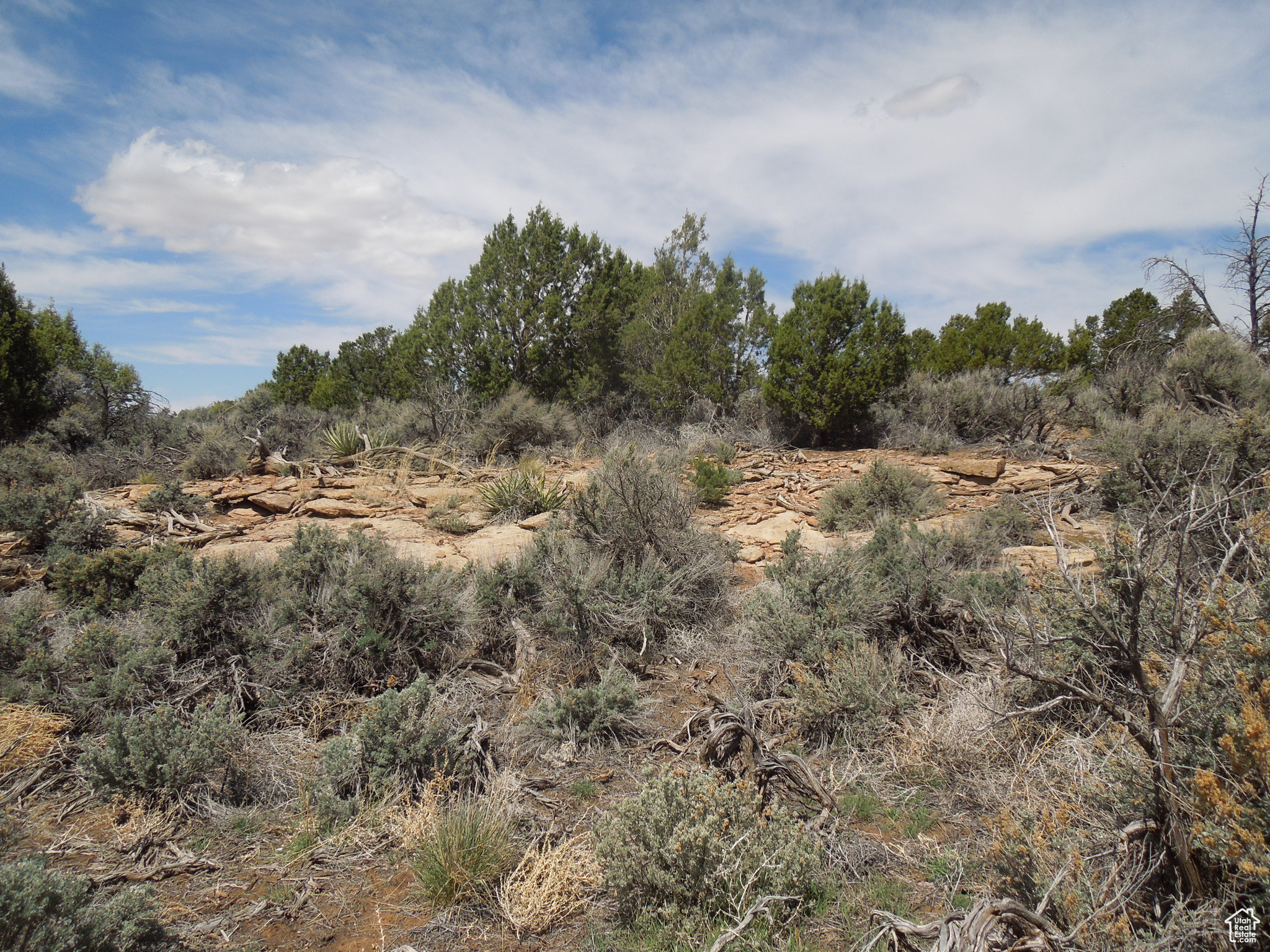 SUNRISE COUNTRY - Land