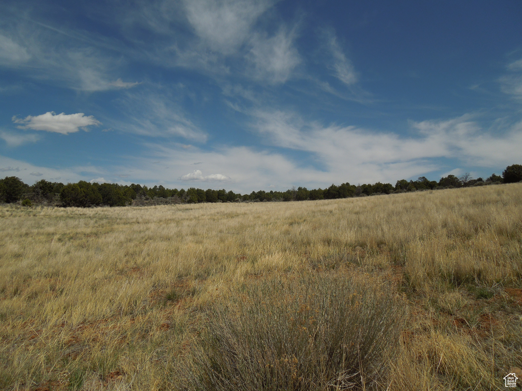 SUNRISE COUNTRY - Land