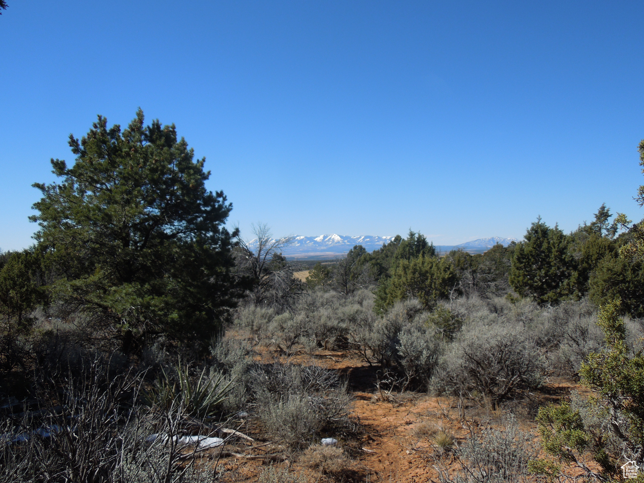 SUNRISE COUNTRY - Land