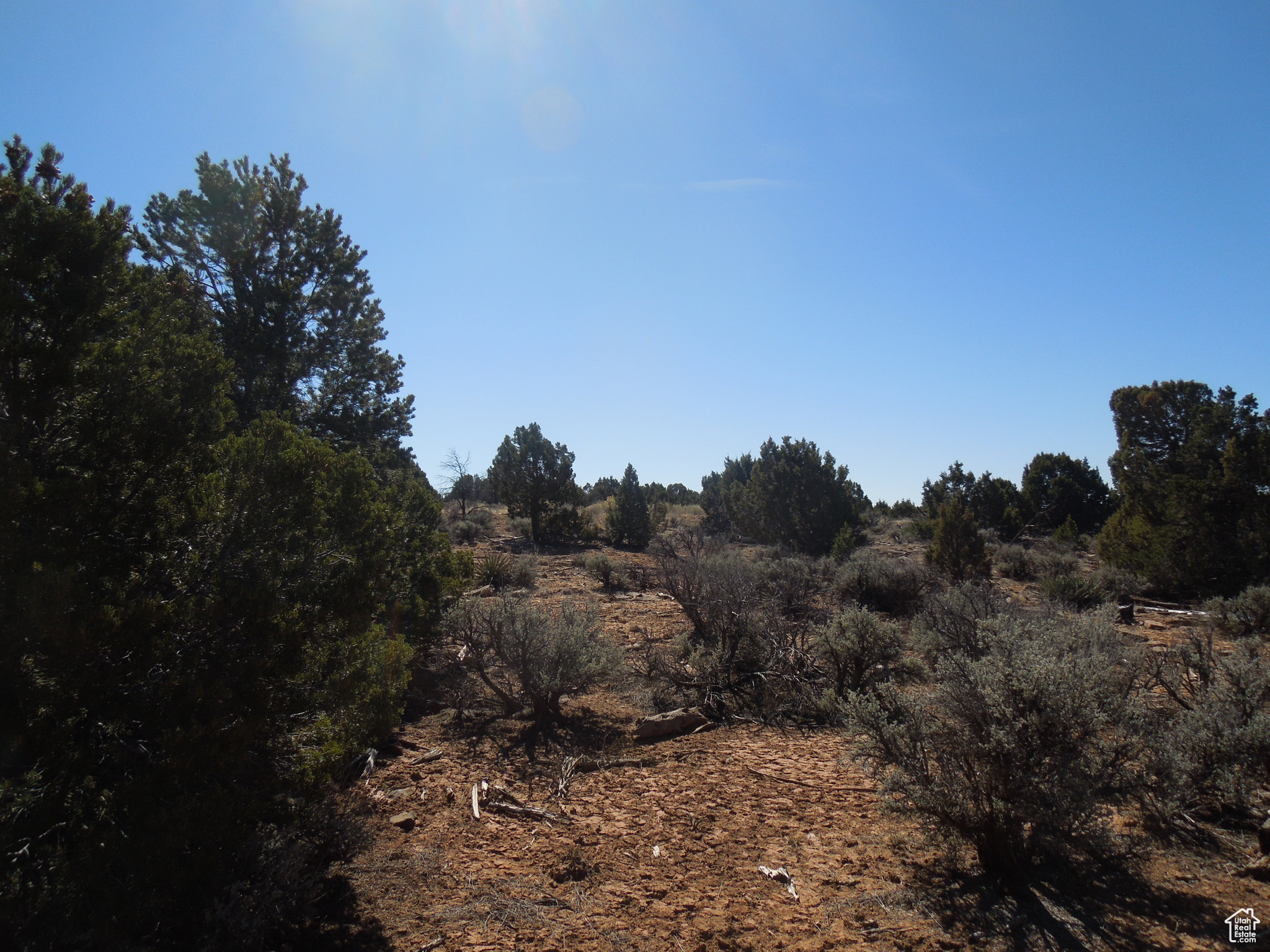 SUNRISE COUNTRY - Land