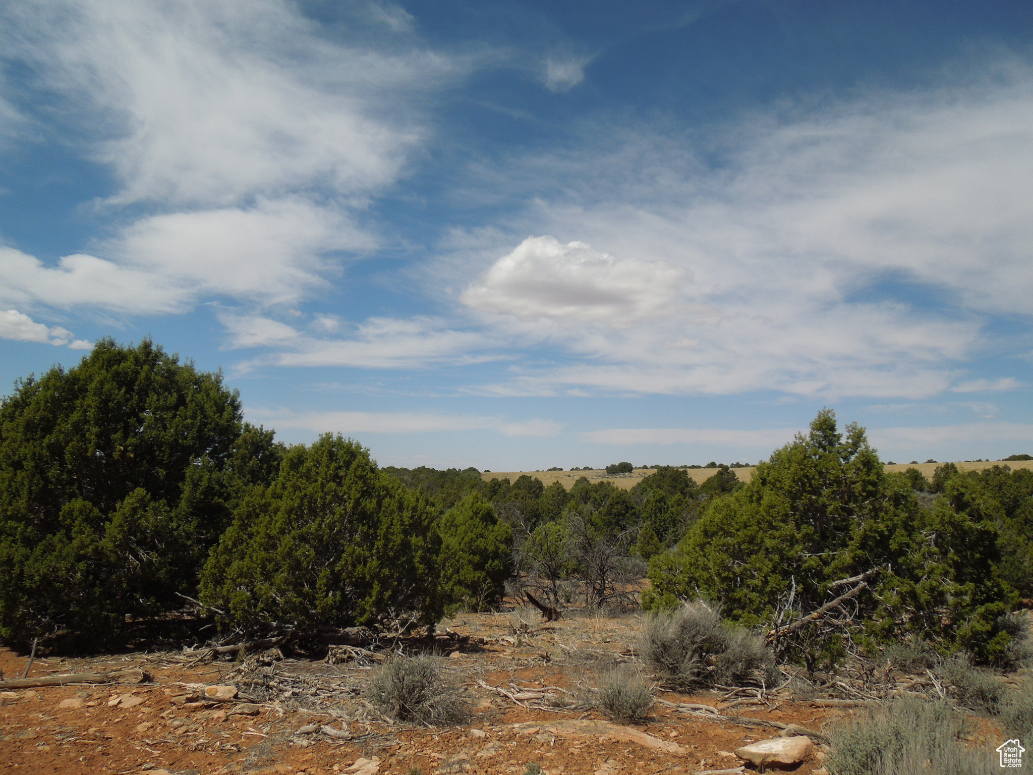 SUNRISE COUNTRY - Land