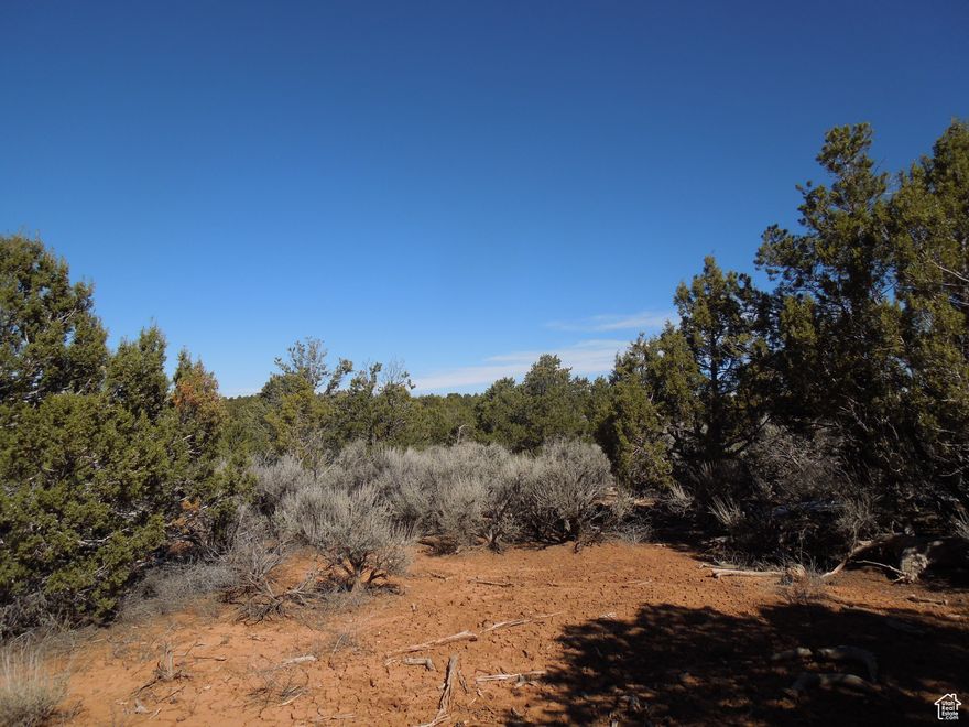 Sunrise Country lot at Deerneck Mesa is in Greenbelt Tax designation. Great Southern exposure for great solar and wind power possibilities. Awesome views of LaSal Mountains and Abajo Mountains. Lots of Pinon and Juniper trees to afford privacy and buffer from wind. You'll enjoy the solitude and quiet here. See to appreciate. Lot next to Lot 17, which is Lot ) is also available for purchhase.  The North boundary of this lovely 36.4 acres is in common with U.S. BLM property, which is never for sale and there won't be any building there. Wild land ! It's just a short walk North on the BLM land to a spectacular view from the Rim of Lisbon Valley and 3 Step Hill !