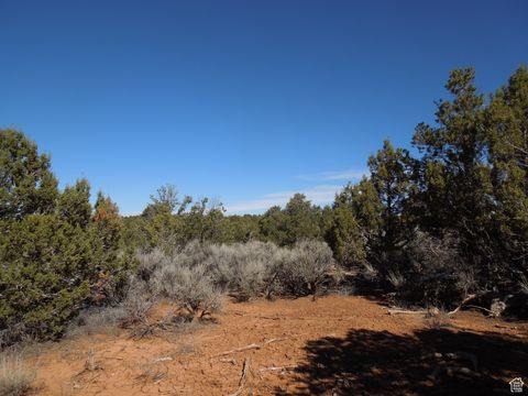 Vacant Land For Sale - 17 W Sunrise Country Rd #17<br/> Monticello, UT 84535