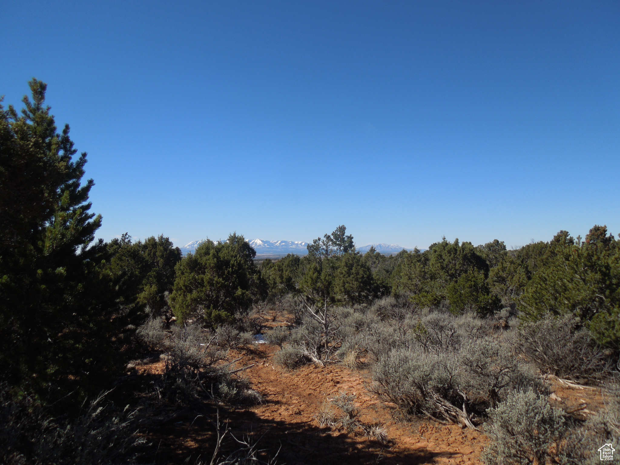 SUNRISE COUNTRY - Land