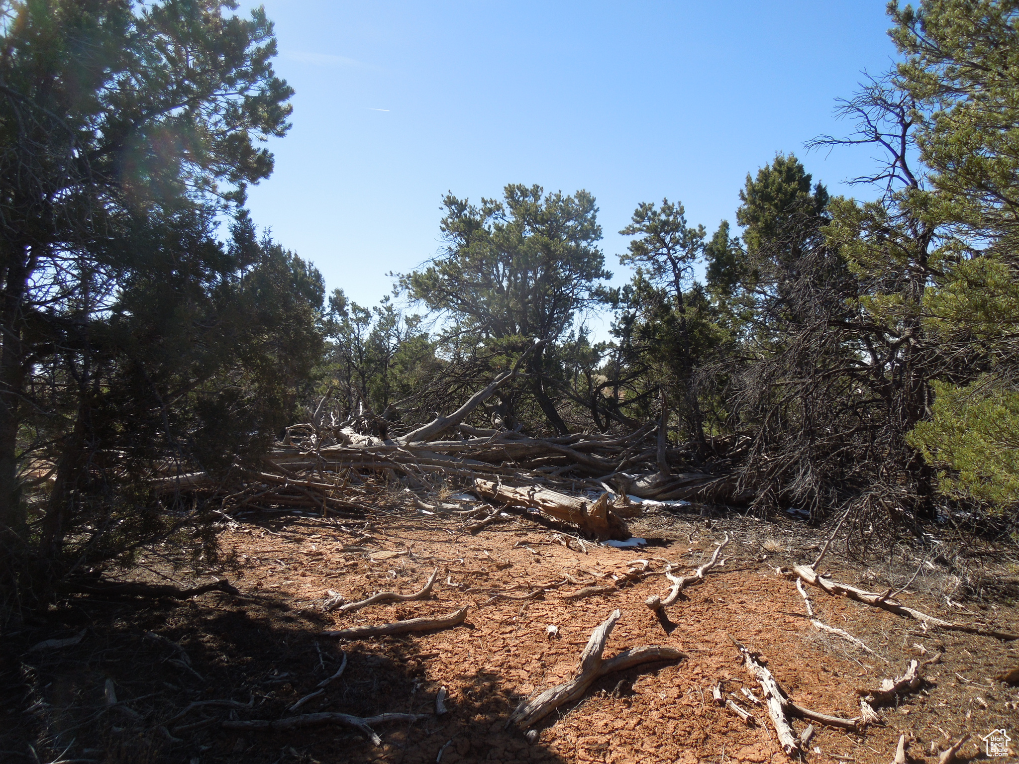 SUNRISE COUNTRY - Land