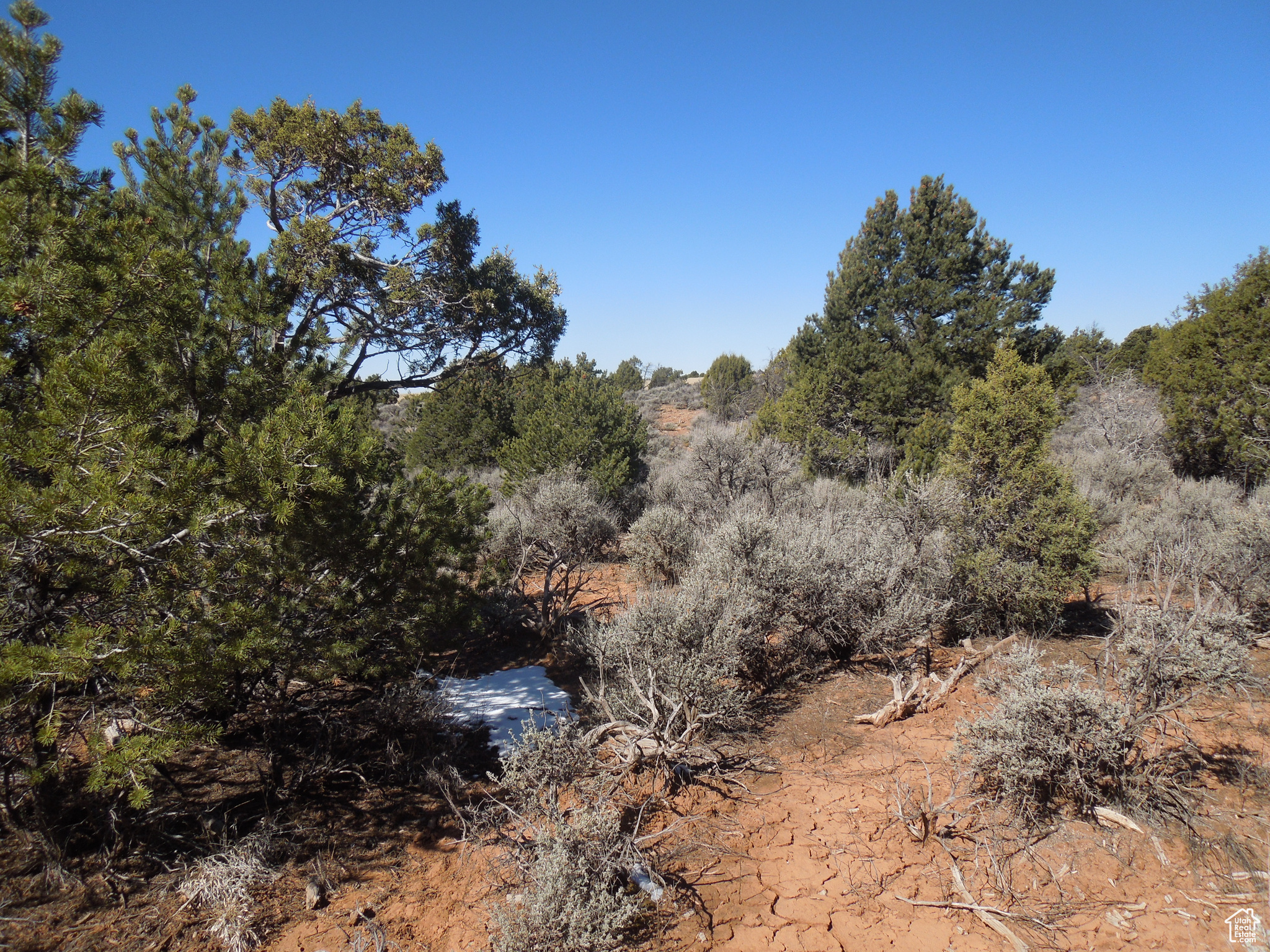 SUNRISE COUNTRY - Land