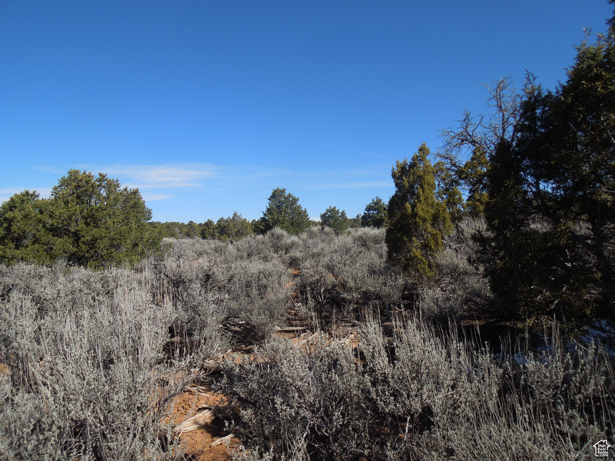 SUNRISE COUNTRY - Land