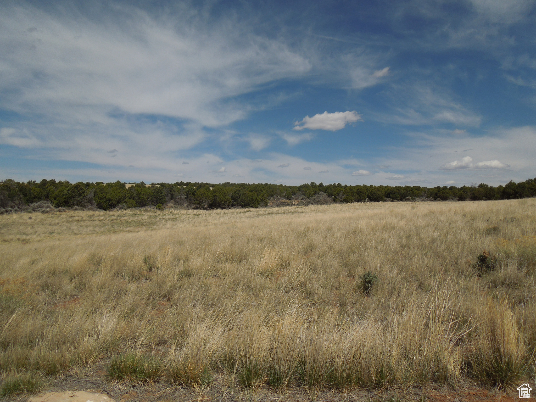 SUNRISE COUNTRY - Land