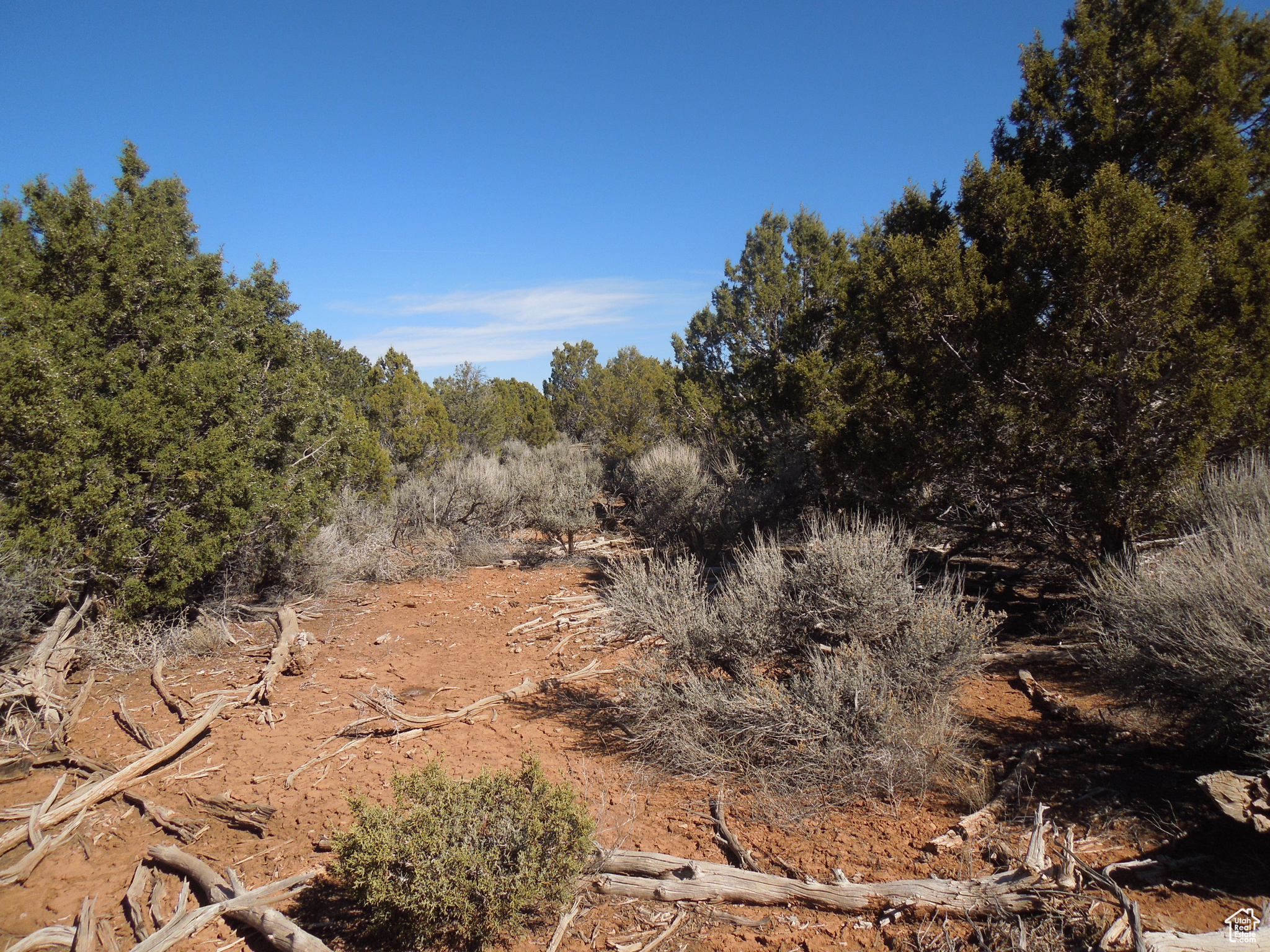 SUNRISE COUNTRY - Land