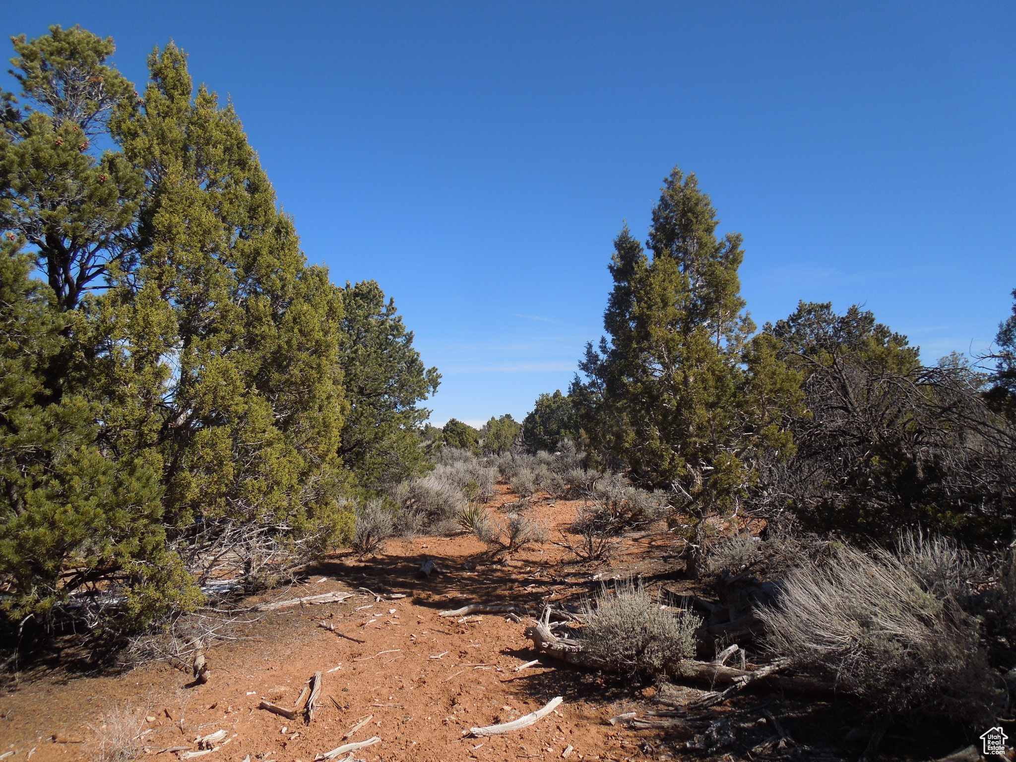 SUNRISE COUNTRY - Land