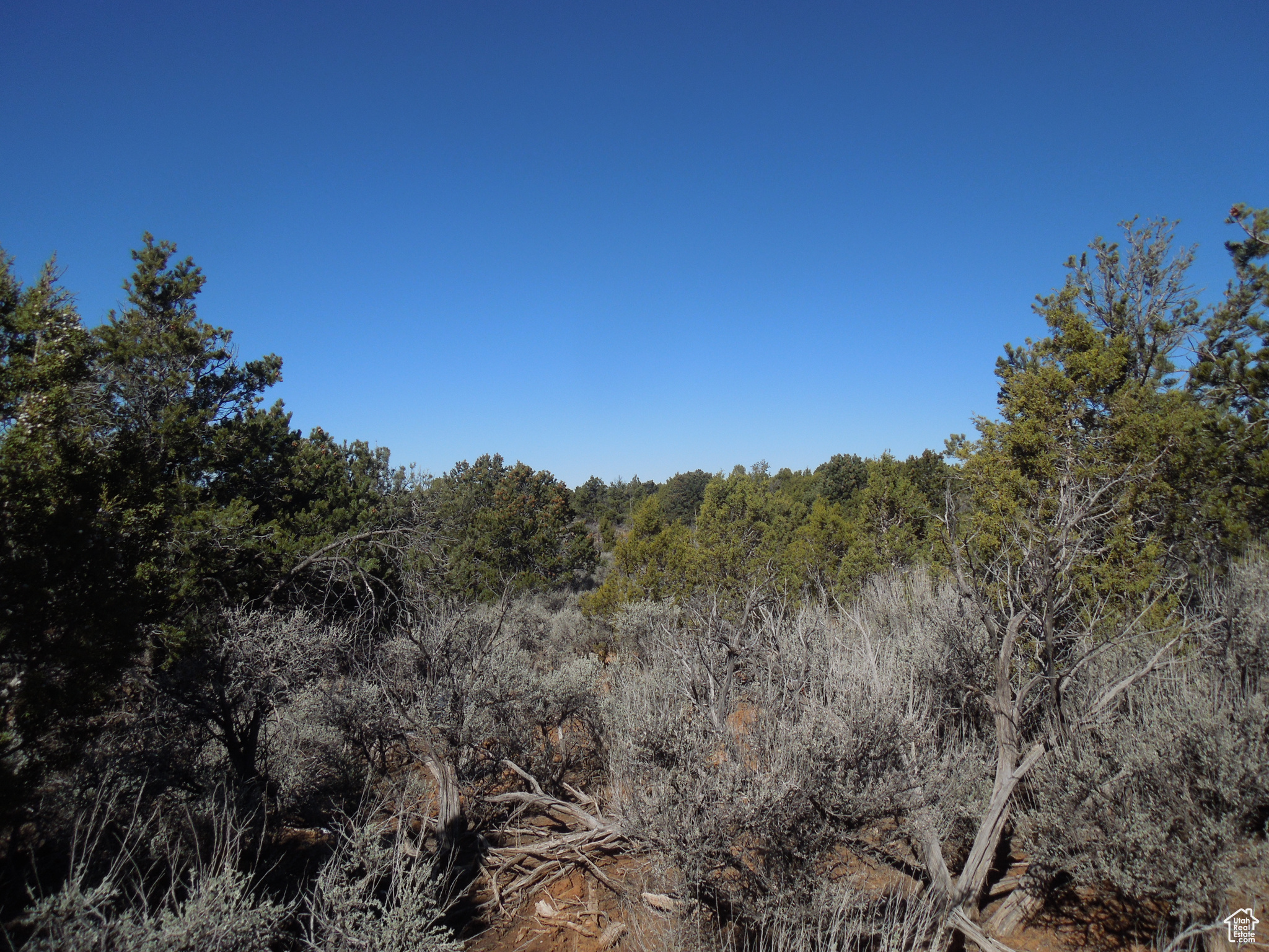 SUNRISE COUNTRY - Land