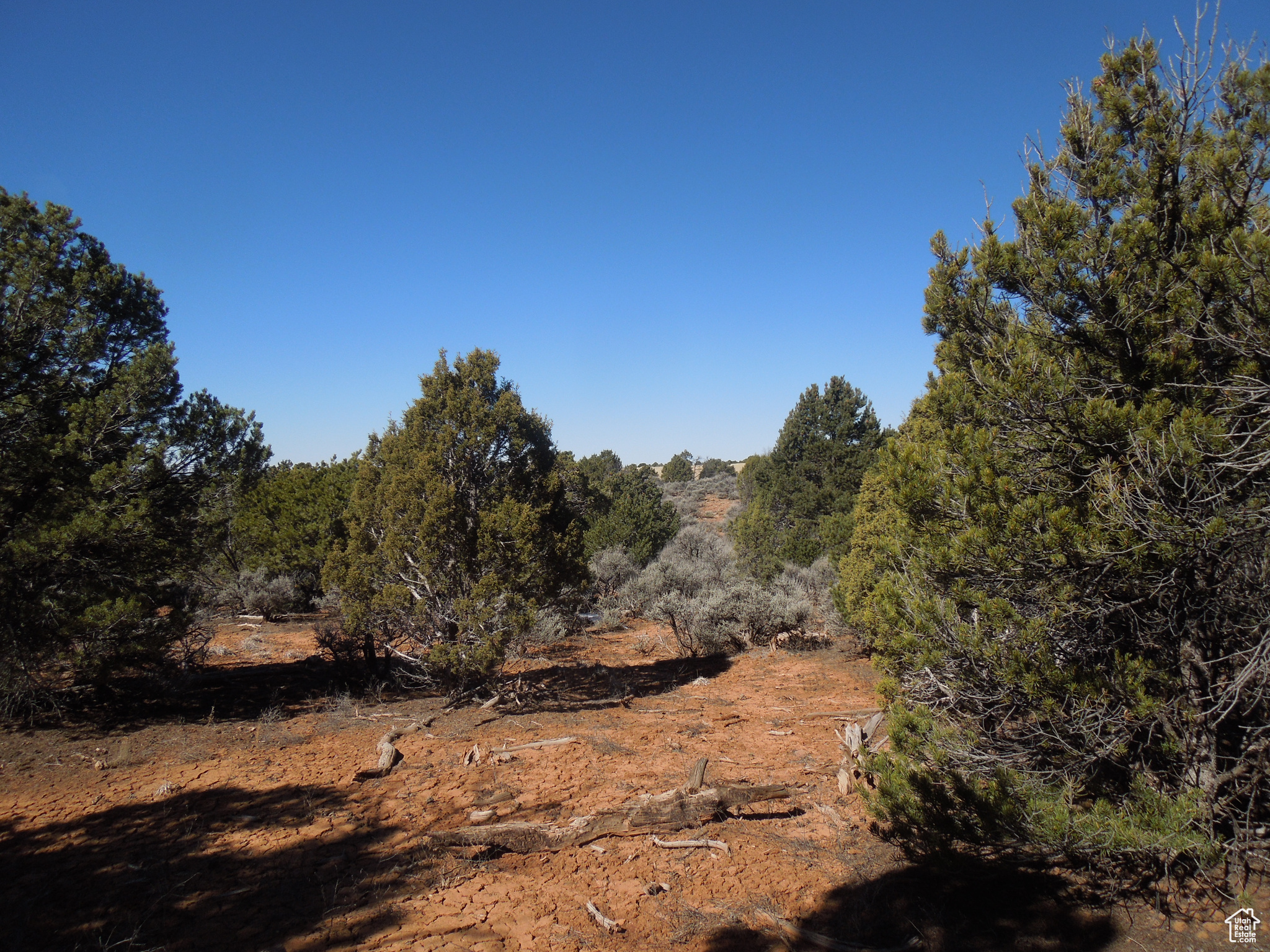 SUNRISE COUNTRY - Land