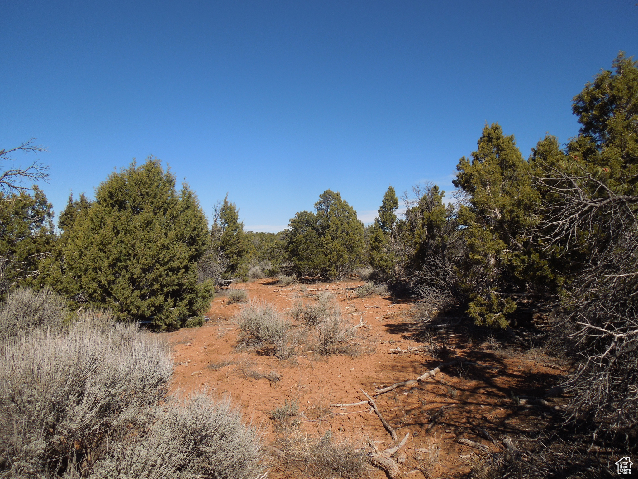 SUNRISE COUNTRY - Land