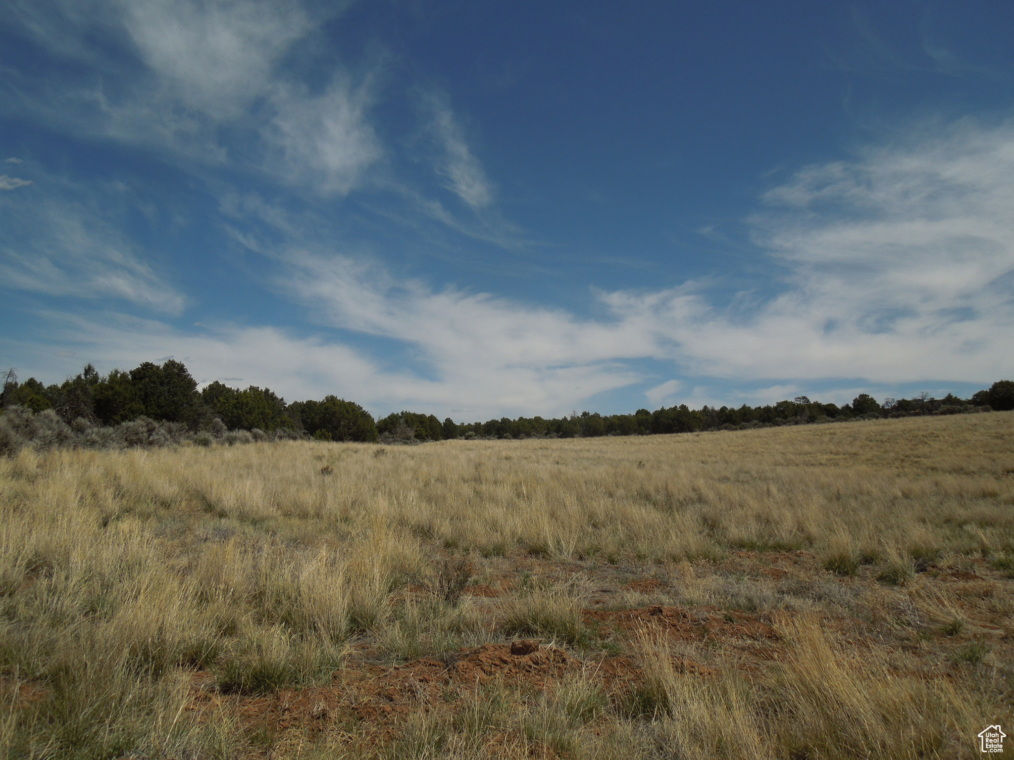 SUNRISE COUNTRY - Land