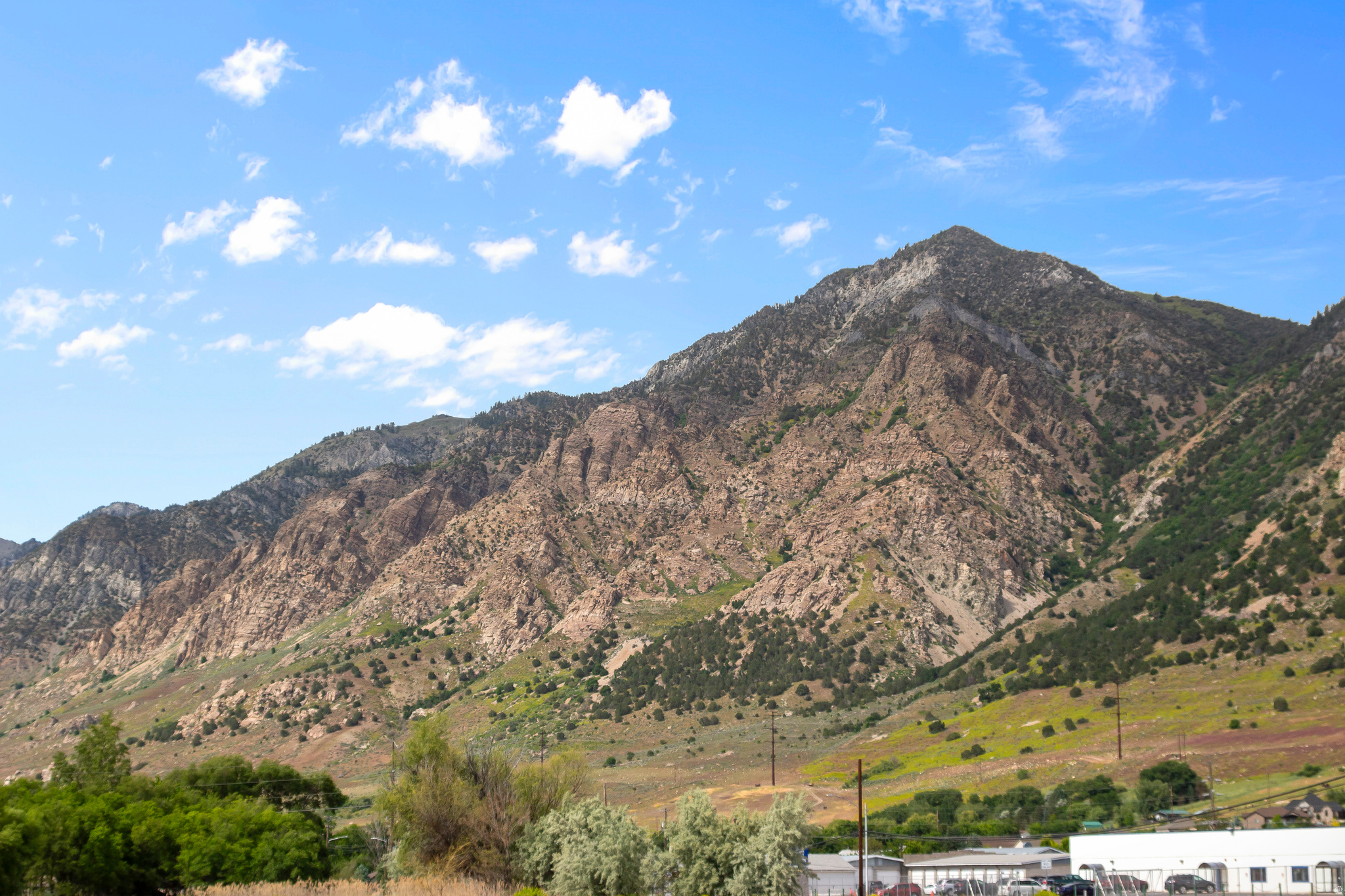 NORTH POINT - Residential