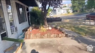 MEADOWS - Residential