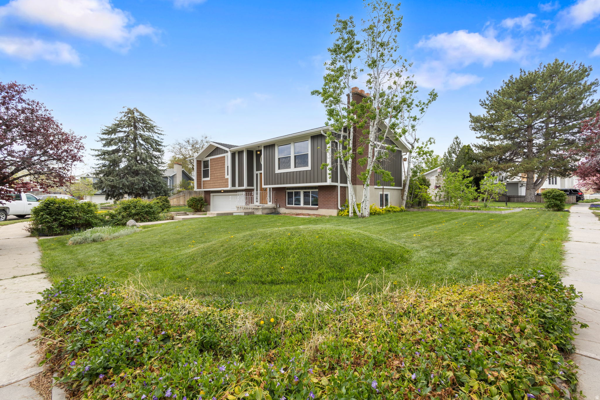 GREEN TREE #3 - Residential