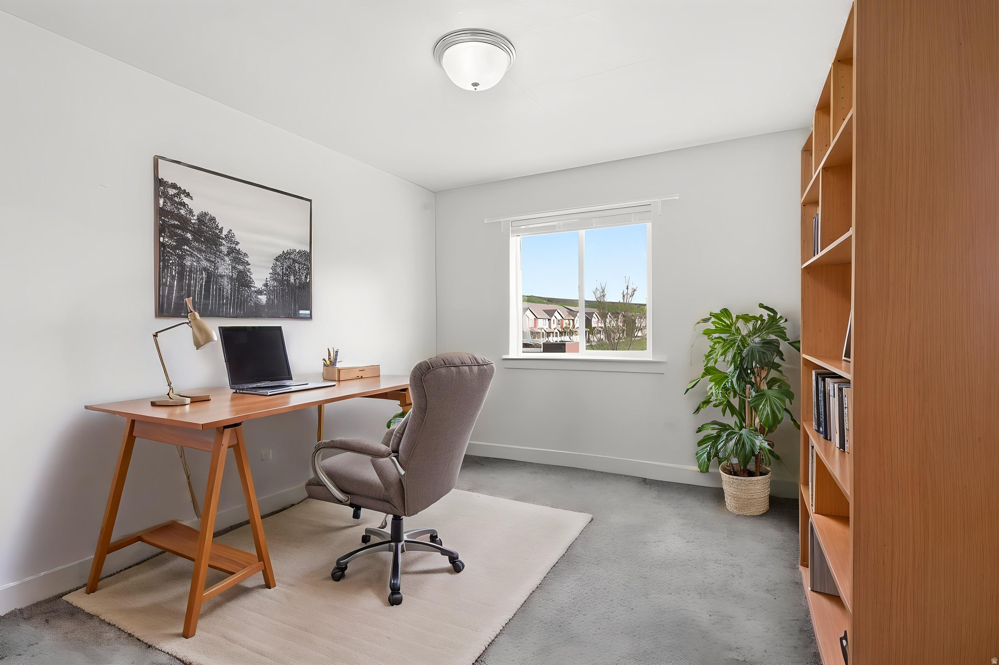 ELK MOUNTAIN SUBDIVI - Residential