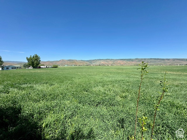 2246 N West Henefer Rd #1, Henefer, Utah image 8