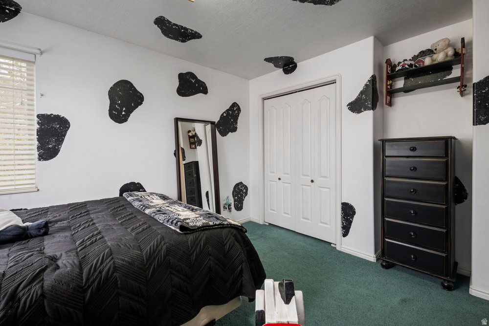 PACKER SMALL SUBDIVISION - Residential